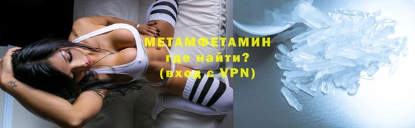 прущие грибы Козловка