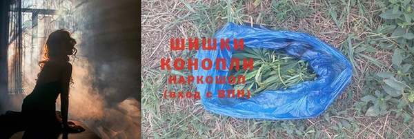 гидропоника Кодинск