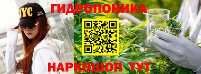 стаф Камышлов